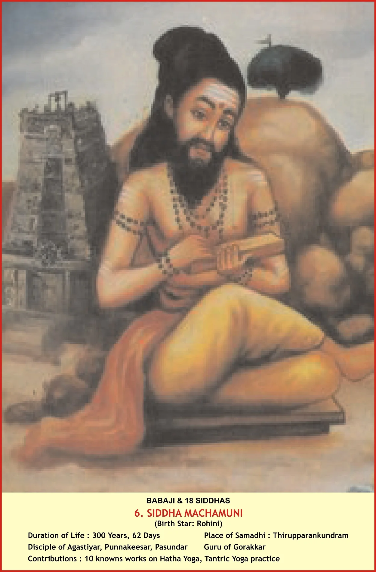 Personalized Forecasts Icon